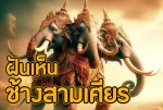 ฝันเห็นช้างสามเศียร