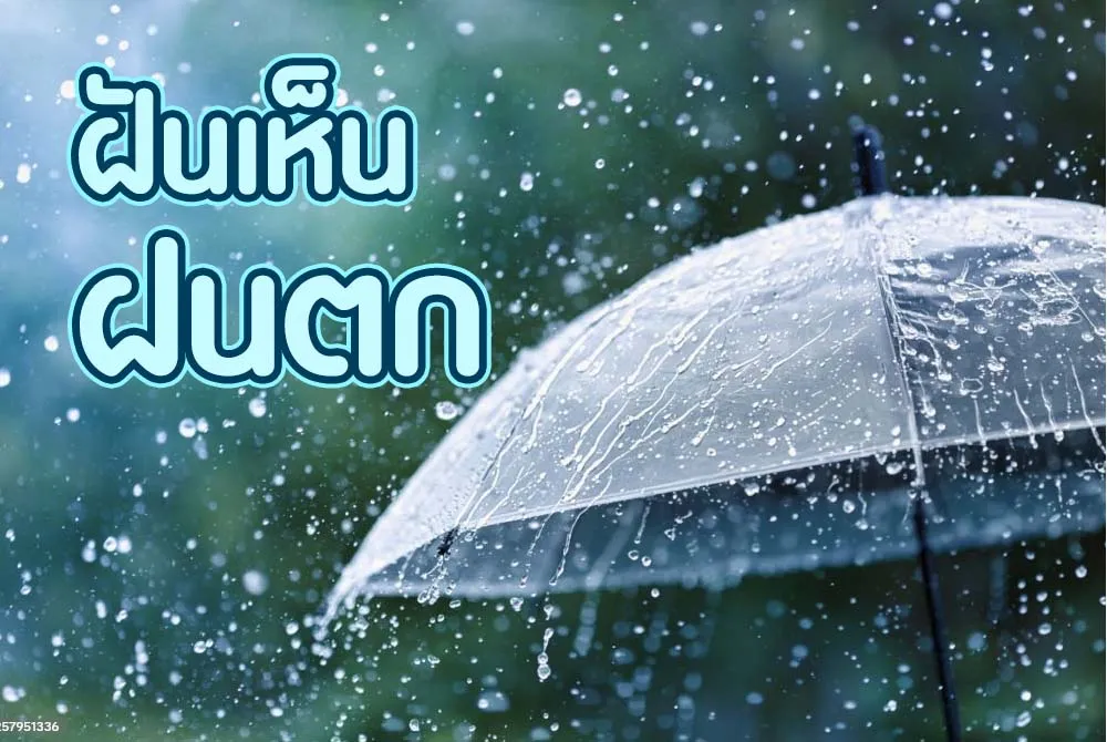 ฝันเห็นฝนตก